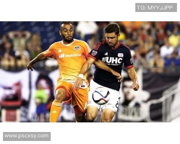 圣何塞对新英格兰精彩直播全程回顾与赛后分析