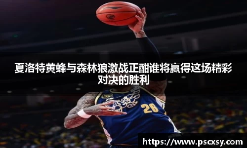 夏洛特黄蜂与森林狼激战正酣谁将赢得这场精彩对决的胜利