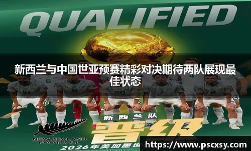 新西兰与中国世亚预赛精彩对决期待两队展现最佳状态